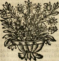An illustration from Idea de vn principe politico christiano : representada en cien empressas (1666)