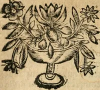 An illustration from Idea de vn principe politico christiano : representada en cien empressas (1666)