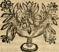 Picture 89 of 144 from Idea de vn principe politico christiano : representada en cien empressas (1666), leaf 443
