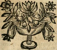 Picture 136 of 144 from Idea de vn principe politico christiano : representada en cien empressas (1666), leaf 661