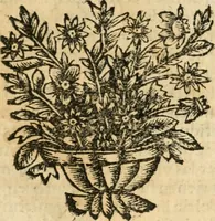 Picture 140 of 144 from Idea de vn principe politico christiano : representada en cien empressas (1666), leaf 672