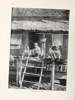 Picture 5 of 17 from De Volken der aarde (1903), leaf 140