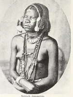 An illustration from De Volken der aarde (1903)