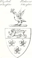 Picture 15 of 38 from Devonshire pedigrees : recorded in the herald's visitation of 1620, with additions from the Harleian manuscripts, and the printed collections of Westcote and Pole (1859), leaf 100