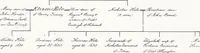 Picture 37 of 38 from Devonshire pedigrees : recorded in the herald's visitation of 1620, with additions from the Harleian manuscripts, and the printed collections of Westcote and Pole (1859), leaf 202