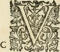 An illustration from De vrbis ac Romani olim imperii splendore : opus eruditionibus, historijs, ac animaduersionibus, tam sacris quam profanis illustratum : in quo etiam nonnulla ex occasione tanguntur, tam circa Romanae ecclesiae principatum, quam circa alias reliquarum orbis regionum res memoratu dignas (1650)