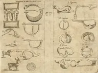 An illustration from De vrbis ac Romani olim imperii splendore : opus eruditionibus, historijs, ac animaduersionibus, tam sacris quam profanis illustratum : in quo etiam nonnulla ex occasione tanguntur, tam circa Romanae ecclesiae principatum, quam circa alias reliquarum orbis regionum res memoratu dignas (1650)