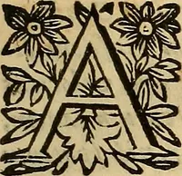 Picture 5 of 16 from De vrinis et pulsibus, de missione sanguinis, de febribus, de morbis capitis, et pectoris (1683), leaf 10