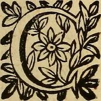 Picture 11 of 16 from De vrinis et pulsibus, de missione sanguinis, de febribus, de morbis capitis, et pectoris (1683), leaf 238