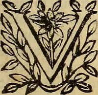 Picture 7 of 16 from De vrinis et pulsibus, de missione sanguinis, de febribus, de morbis capitis, et pectoris (1683), leaf 24