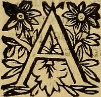 Picture 13 of 16 from De vrinis et pulsibus, de missione sanguinis, de febribus, de morbis capitis, et pectoris (1683), leaf 407