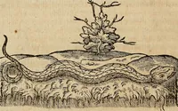 Picture 20 of 94 from Devx livres des venins, ausquels il est amplement discouru des bestes venimeuses, theriaques, poisons (1568), leaf 103