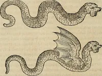 Picture 32 of 94 from Devx livres des venins, ausquels il est amplement discouru des bestes venimeuses, theriaques, poisons (1568), leaf 125