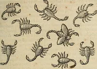 Picture 39 of 94 from Devx livres des venins, ausquels il est amplement discouru des bestes venimeuses, theriaques, poisons (1568), leaf 142