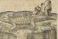 Picture 48 of 94 from Devx livres des venins, ausquels il est amplement discouru des bestes venimeuses, theriaques, poisons (1568), leaf 155