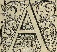 Picture 60 of 94 from Devx livres des venins, ausquels il est amplement discouru des bestes venimeuses, theriaques, poisons (1568), leaf 192