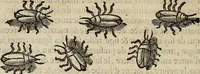 Picture 74 of 94 from Devx livres des venins, ausquels il est amplement discouru des bestes venimeuses, theriaques, poisons (1568), leaf 251