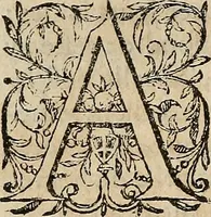 Picture 76 of 94 from Devx livres des venins, ausquels il est amplement discouru des bestes venimeuses, theriaques, poisons (1568), leaf 255