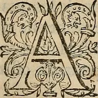 Picture 79 of 94 from Devx livres des venins, ausquels il est amplement discouru des bestes venimeuses, theriaques, poisons (1568), leaf 263