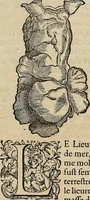 Picture 81 of 94 from Devx livres des venins, ausquels il est amplement discouru des bestes venimeuses, theriaques, poisons (1568), leaf 269