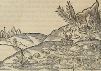Picture 85 of 94 from Devx livres des venins, ausquels il est amplement discouru des bestes venimeuses, theriaques, poisons (1568), leaf 279