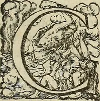 Picture 89 of 94 from Devx livres des venins, ausquels il est amplement discouru des bestes venimeuses, theriaques, poisons (1568), leaf 290