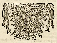 An illustration from De weeck-wercken, der ghedenckwaerdighe historien, leer-gedichten, en spreucken, &c. (1657)