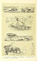 An illustration from De werelddeelen : bewerkt naar Friedrich von Hellwald's die Erde und ihre Vèolker (1879)