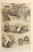 Picture 5 of 15 from De werelddeelen : bewerkt naar Friedrich von Hellwald's die Erde und ihre Völker (1879), leaf 203