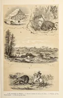 An illustration from De werelddeelen : bewerkt naar Friedrich von Hellwald's die Erde und ihre Völker (1879)