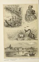 Picture 13 of 15 from De werelddeelen : bewerkt naar Friedrich von Hellwald's die Erde und ihre Völker (1879), leaf 468