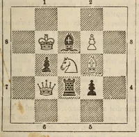 An illustration from De Witt's American chess manual. Containing full instructions for young players (1880)