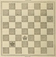 An illustration from De Witt's American chess manual. Containing full instructions for young players (1880)