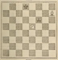 An illustration from De Witt's American chess manual. Containing full instructions for young players (1880)
