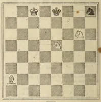 An illustration from De Witt's American chess manual. Containing full instructions for young players (1880)