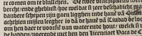 An illustration from De wonderlijcke ende warachtighe historie vant coninckrijck van Peru, : geleghen in Indien, inde welcke verhaelt wordt de gheleghentheydt, costuymen, manieren van leuen, oueruloedicheyt des goudts eñ siluers, ende voort alle de sonderlingste dinghen vanden seluen lande, insghelijckx vanden steden, plaetsen, ende inwoonders desselfs conincrijckx, daer beneuen hoet gheuonden ende eerst by de Keyserlijcke Maiest. hoochloflijcker memorien gheconquesteert ende vercreghen is, met alle de oorlogen eñ strijden die ghebeurt zijn, soo teghens d'Indianen als oock onder den Spaengaerts om tgouuernement deen teghens den anderen. Verciert met veel schoone figuren (1563)