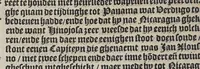 An illustration from De wonderlijcke ende warachtighe historie vant coninckrijck van Peru, : geleghen in Indien, inde welcke verhaelt wordt de gheleghentheydt, costuymen, manieren van leuen, oueruloedicheyt des goudts eñ siluers, ende voort alle de sonderlingste dinghen vanden seluen lande, insghelijckx vanden steden, plaetsen, ende inwoonders desselfs conincrijckx, daer beneuen hoet gheuonden ende eerst by de Keyserlijcke Maiest. hoochloflijcker memorien gheconquesteert ende vercreghen is, met alle de oorlogen eñ strijden die ghebeurt zijn, soo teghens d'Indianen als oock onder den Spaengaerts om tgouuernement deen teghens den anderen. Verciert met veel schoone figuren (1563)