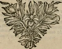 An illustration from De Ystroom : begreepen in vier boeken (1671)
