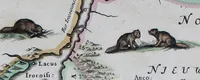 Picture 73 of 74 from De zee-atlas of Water-waerelt, vertoonende alle de zee-kusten van het bekende des aerd-bodems, met een generale beschrijvinge van dien : seer dienstigh voor schippers en stuurlieden, mitsgaders koop-lieden om op 't kantoor gebruyckt te worden : Nieuwelijcks aldus uytgegeven (1665), leaf 140