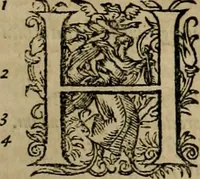 An illustration from D. Fernandi Vasqvii Menchacensis Pinciani ... Controversiarvm illvstrivm aliarvmqve vsv frequentivm libri tres : nvnc denvo longe qvam antea emendatius ac elegantius editi, iureconsultis omnibus summo vsui futuri (1572)
