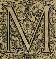 An illustration from D. Fernandi Vasqvii Menchacensis Pinciani ... Controversiarvm illvstrivm aliarvmqve vsv frequentivm libri tres : nvnc denvo longe qvam antea emendatius ac elegantius editi, iureconsultis omnibus summo vsui futuri (1572)