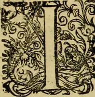 An illustration from D. Francisci Dvareni i.c. celeberrimi, Omnia qvae qvidem hactenvs edita fvervnt opera : non tantvm plvrimis in Digesta seu Pandectas, & Codicem commentariis ac methodicis expositionibus (1598)