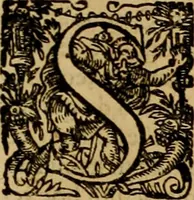 An illustration from D. Francisci Dvareni i.c. celeberrimi, Omnia qvae qvidem hactenvs edita fvervnt opera : non tantvm plvrimis in Digesta seu Pandectas, & Codicem commentariis ac methodicis expositionibus (1598)