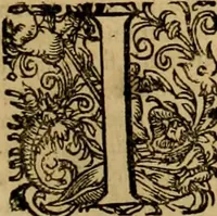 An illustration from D. Francisci Dvareni i.c. celeberrimi, Omnia qvae qvidem hactenvs edita fvervnt opera : non tantvm plvrimis in Digesta seu Pandectas, & Codicem commentariis ac methodicis expositionibus (1598)