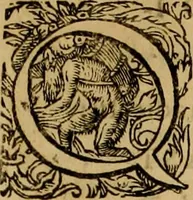 An illustration from D. Francisci Dvareni i.c. celeberrimi, Omnia qvae qvidem hactenvs edita fvervnt opera : non tantvm plvrimis in Digesta seu Pandectas, & Codicem commentariis ac methodicis expositionibus (1598)
