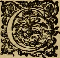 An illustration from D. Francisci Dvareni i.c. celeberrimi, Omnia qvae qvidem hactenvs edita fvervnt opera : non tantvm plvrimis in Digesta seu Pandectas, & Codicem commentariis ac methodicis expositionibus (1598)