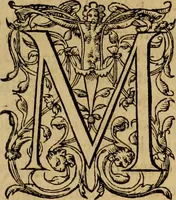 An illustration from D. Francisci Dvareni i.c. celeberrimi, Omnia qvae qvidem hactenvs edita fvervnt opera : non tantvm plvrimis in Digesta seu Pandectas, & Codicem commentariis ac methodicis expositionibus (1598)