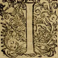 An illustration from D. Francisci Dvareni i.c. celeberrimi, Omnia qvae qvidem hactenvs edita fvervnt opera : non tantvm plvrimis in Digesta seu Pandectas, & Codicem commentariis ac methodicis expositionibus (1598)