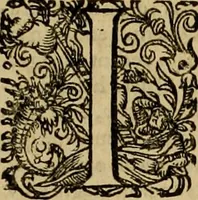 Picture 11 of 75 from D. Francisci Dvareni i.c. celeberrimi, Omnia qvae qvidem hactenvs edita fvervnt opera : non tantvm plvrimis in Digesta seu Pandectas, & Codicem commentariis ac methodicis expositionibus (1598), leaf 28