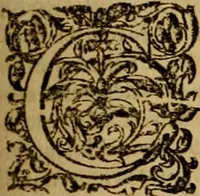 An illustration from D. Francisci Dvareni i.c. celeberrimi, Omnia qvae qvidem hactenvs edita fvervnt opera : non tantvm plvrimis in Digesta seu Pandectas, & Codicem commentariis ac methodicis expositionibus (1598)